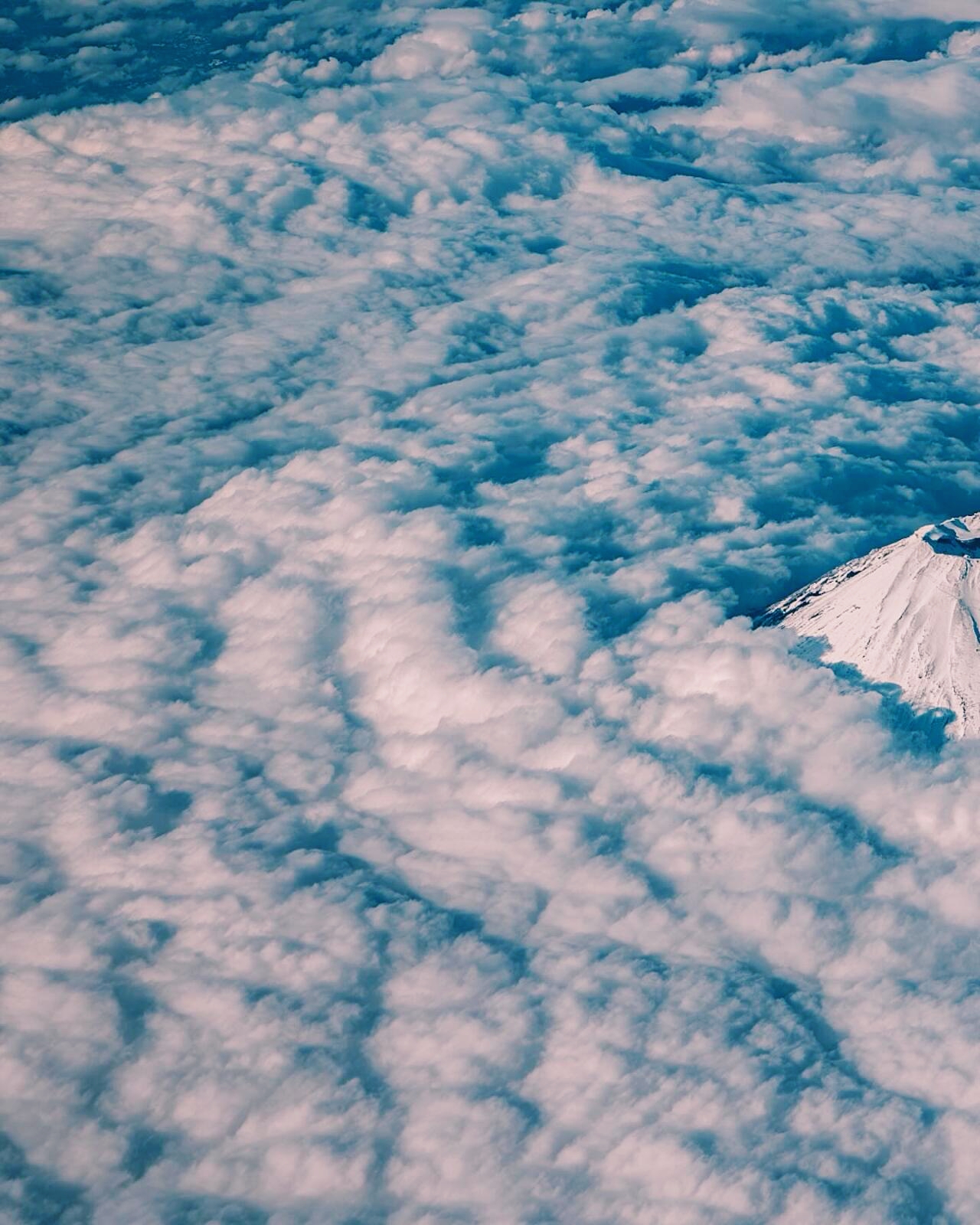 飞机上俯瞰富士山⛰️附攻略