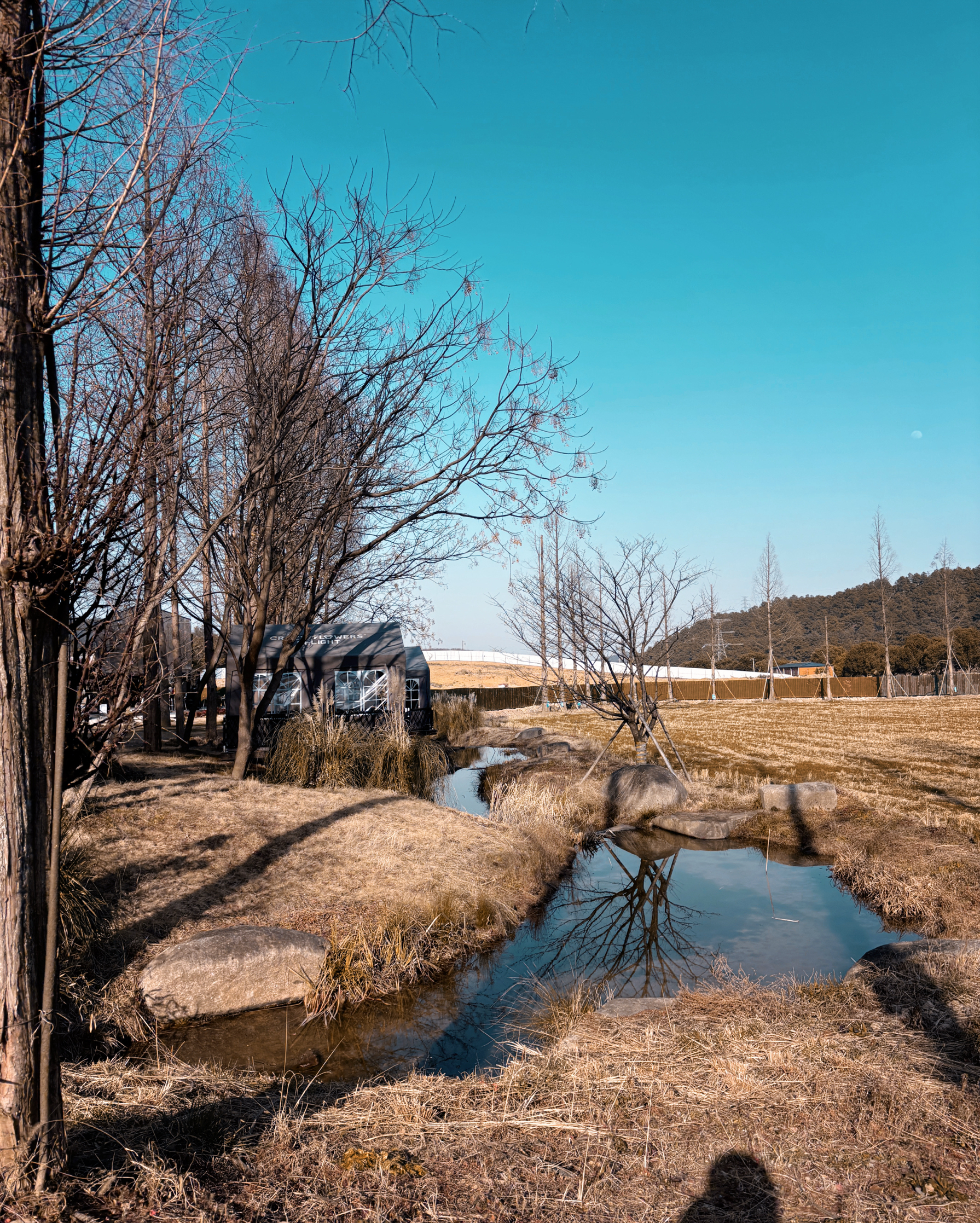 不是居·味道素宴