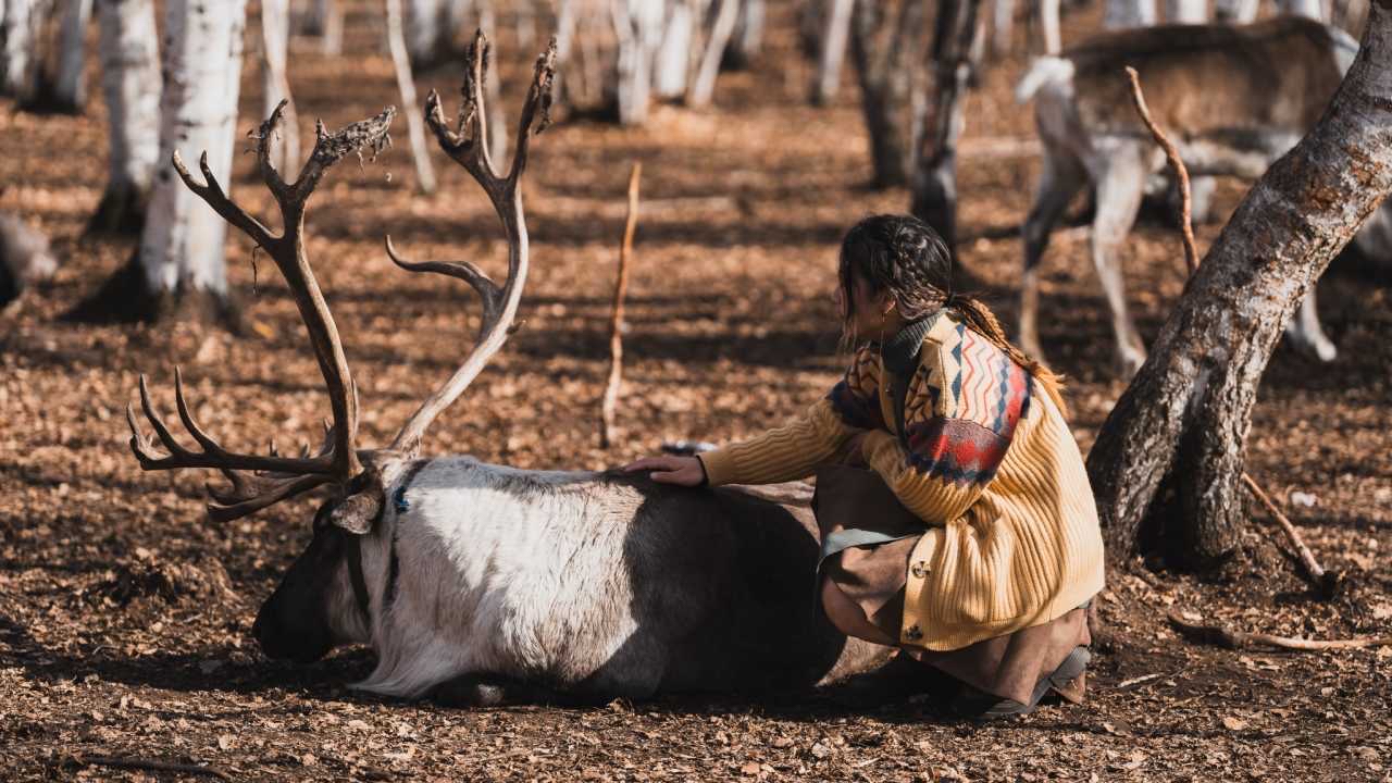草原之约，与鹿共舞——我的蒙古之旅