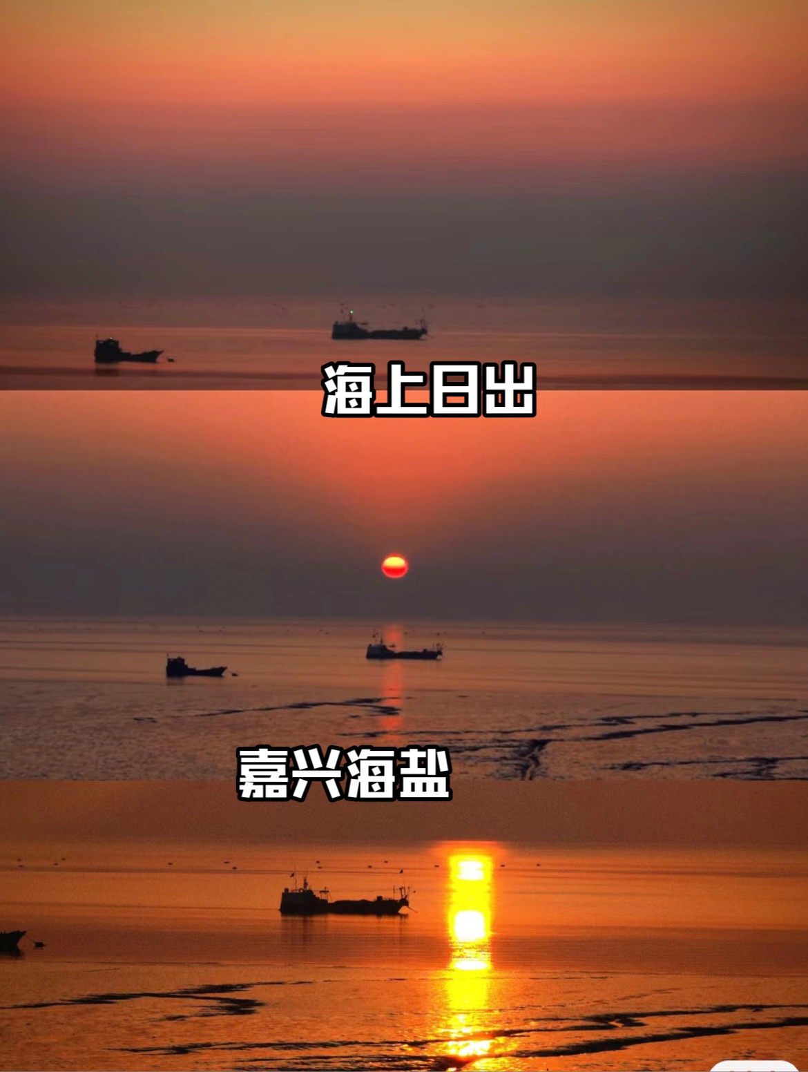 我从来没想过，能在杭州附近看到海上日出！ #总要看一场海上日出吧 #落日下的橘子海 #嘉兴海盐