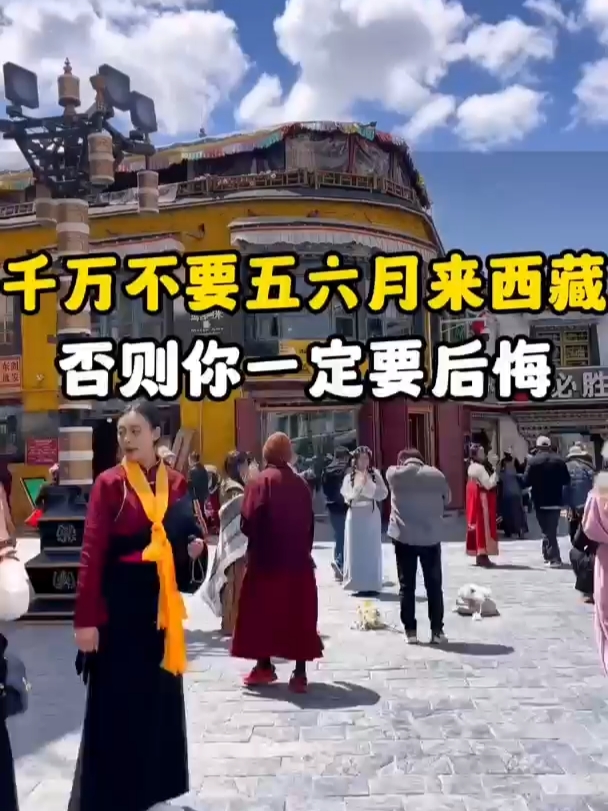 千万不要五六月来西藏 否则你一定要后悔