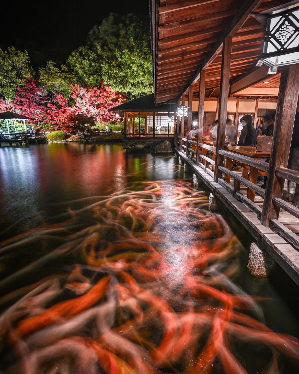 【和风美景】🍁三景園探秘：本郷町善入寺的隐藏珍宝！  🌸简介：三景園的魅力所在  三景園位于広島県本