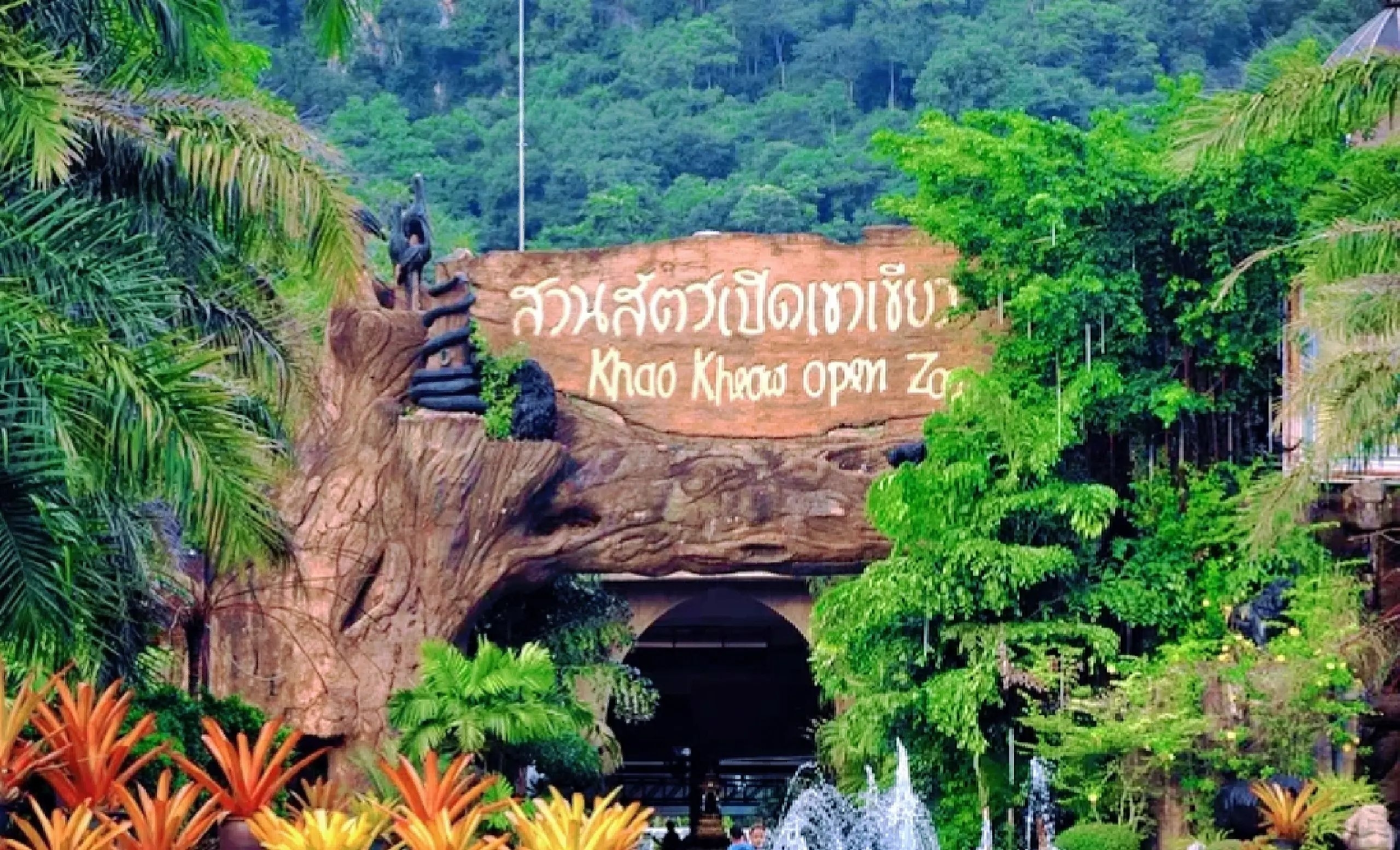 泰国亲子游，强烈推荐绿山动物园