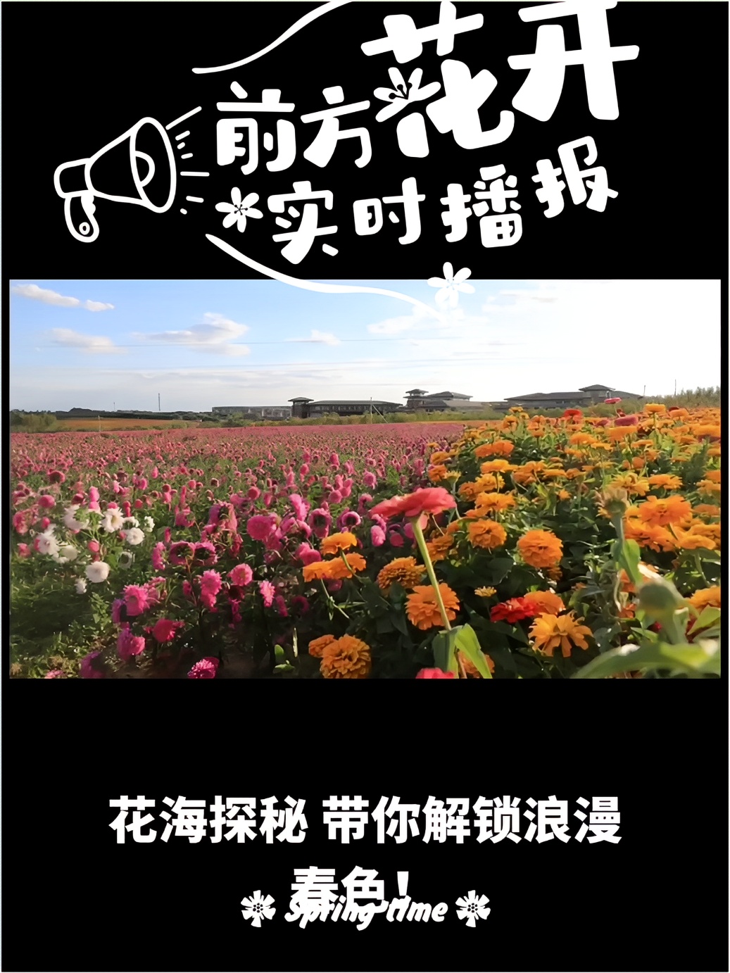 河北春日赏花秘笈：花海探秘，带你解锁浪漫春色！