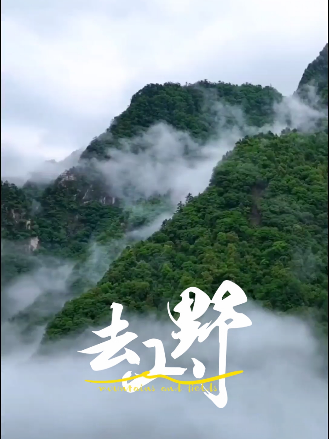 雨后秦岭真是多姿多彩。云雾缭绕，宛如仙境，真是大自然的鬼斧神工。#云海涌过山岭有多美 #大自然的鬼斧