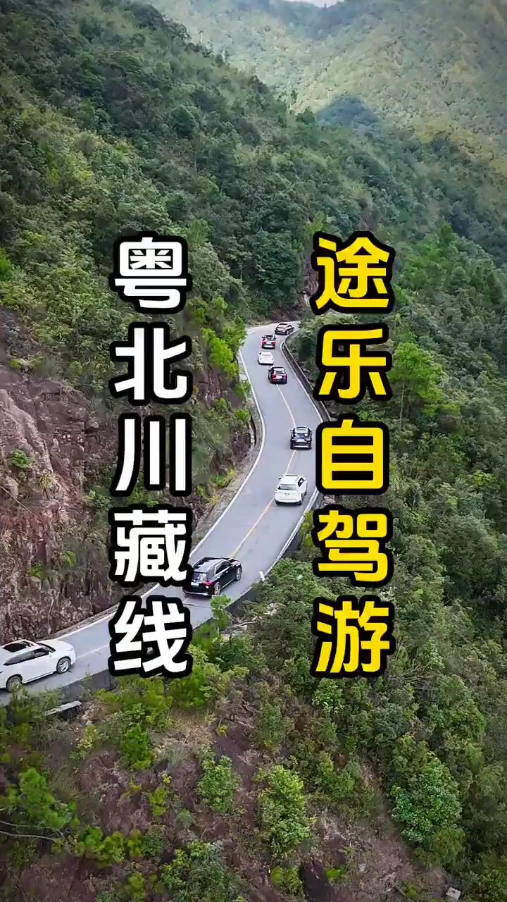 #摩卡五一“0焦虑”之旅我在广东也给大家找到了一条自驾体验不输318的国道，一路风景优美，可能开十几