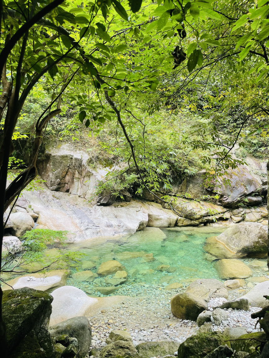 S弯山庄餐厅图片