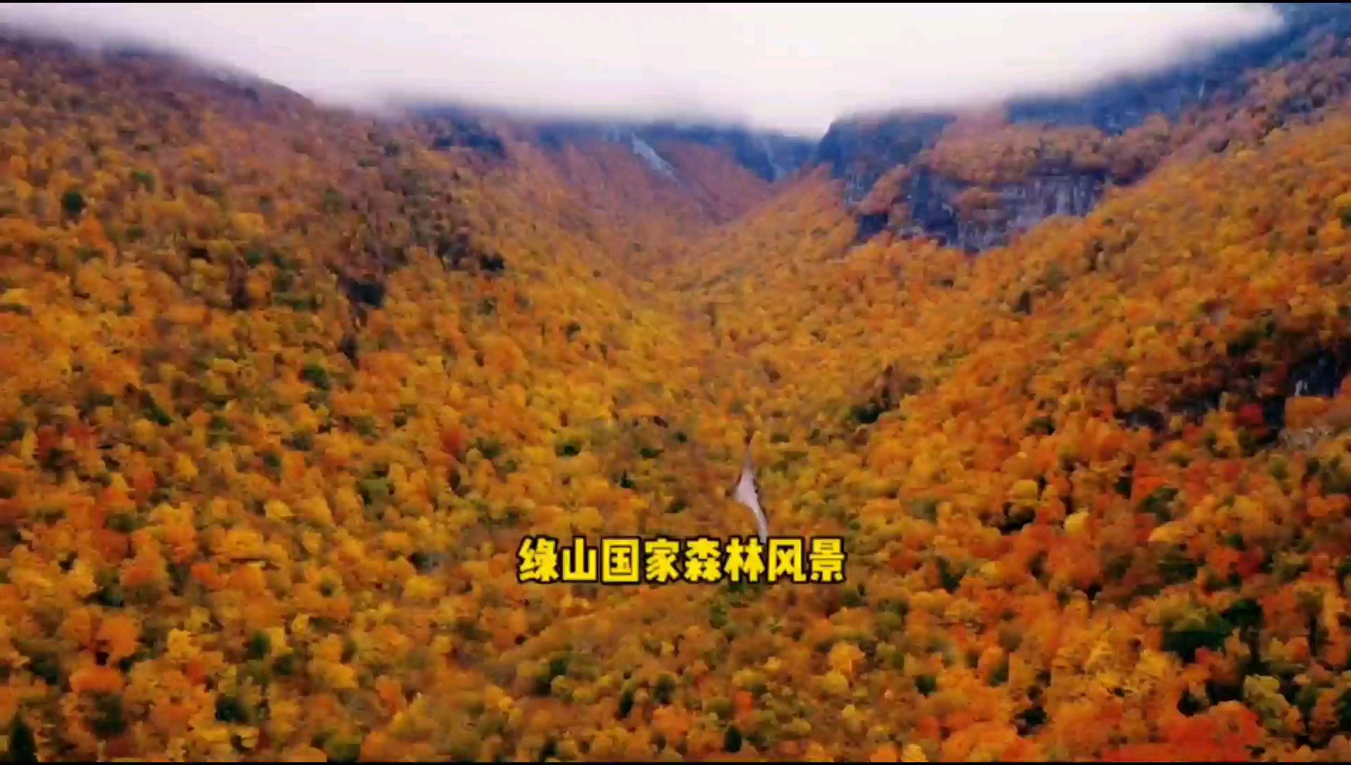 绿山国家森林风景