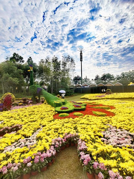 义乌植物园