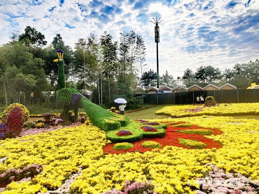 义乌植物园