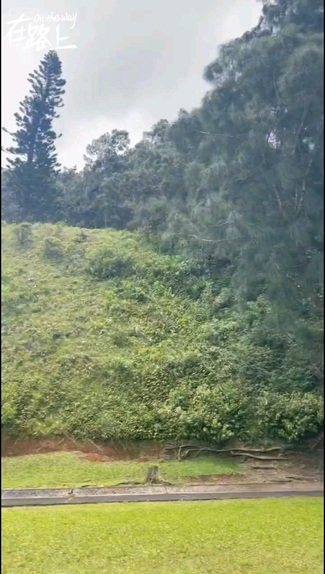 夏威夷～大风口美不胜收