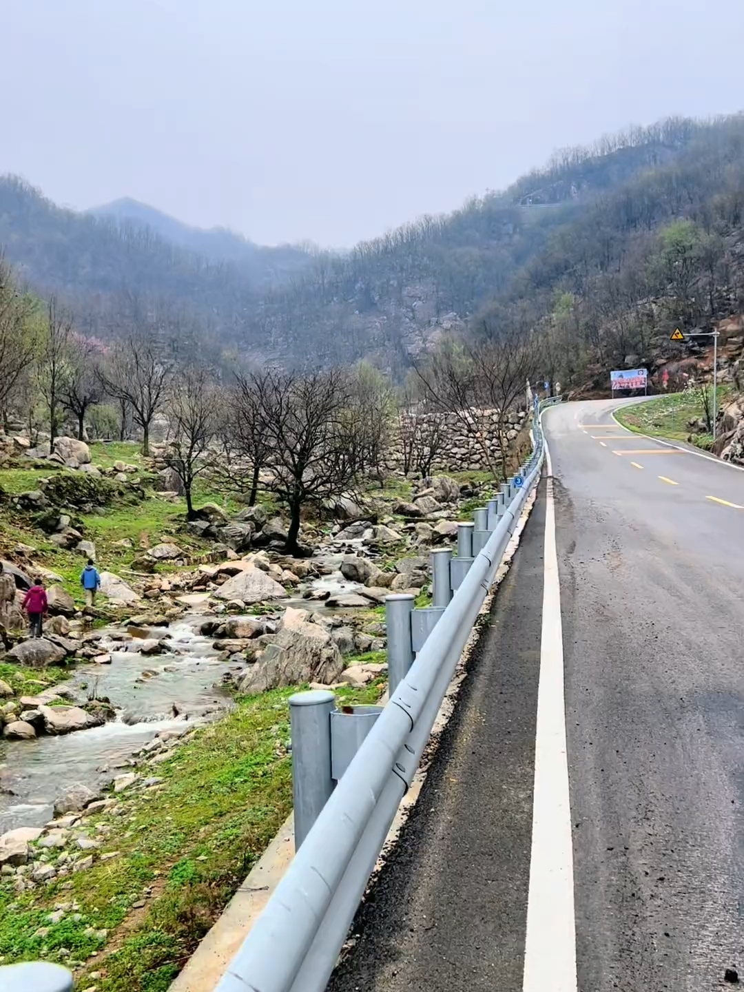 青山之境，富氧之地，绿水之源，杜鹃之乡，山水四棵树你喜欢吗