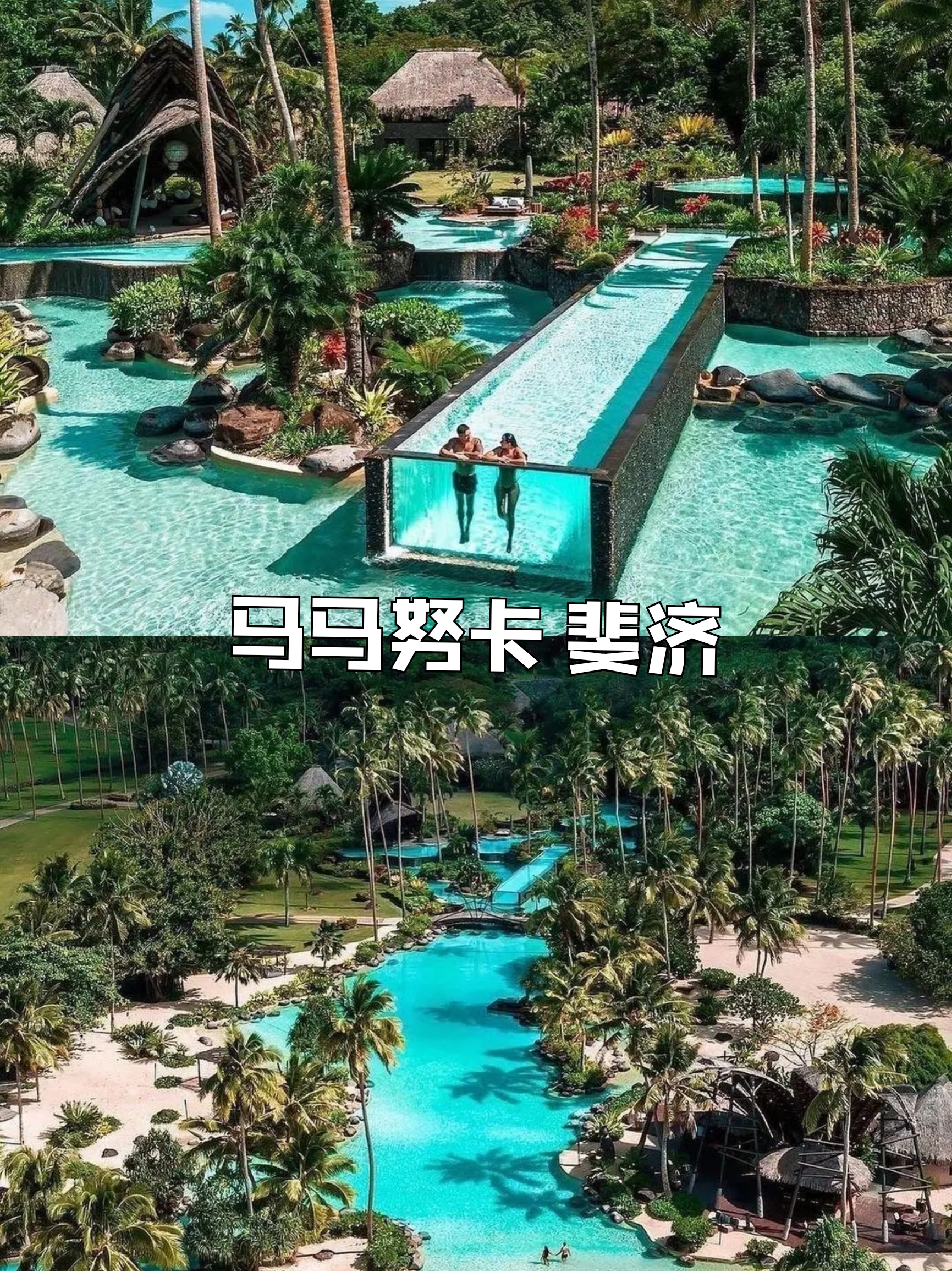 🏝️斐济天堂🌺| 碧海蓝天的快乐时光