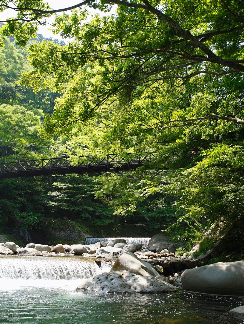 箱根和风体验！日本山之茶屋，美食与自然共鸣