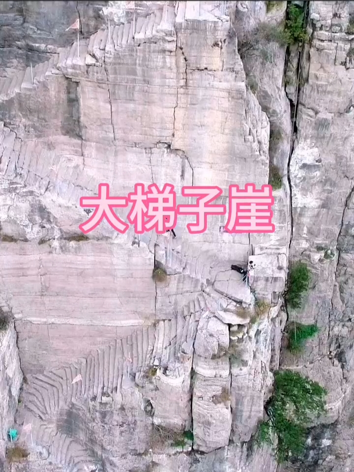 黄河大梯子崖，有“黄河第一挂壁天梯”之称，修建于北魏时期，距今千年#秀出家乡美