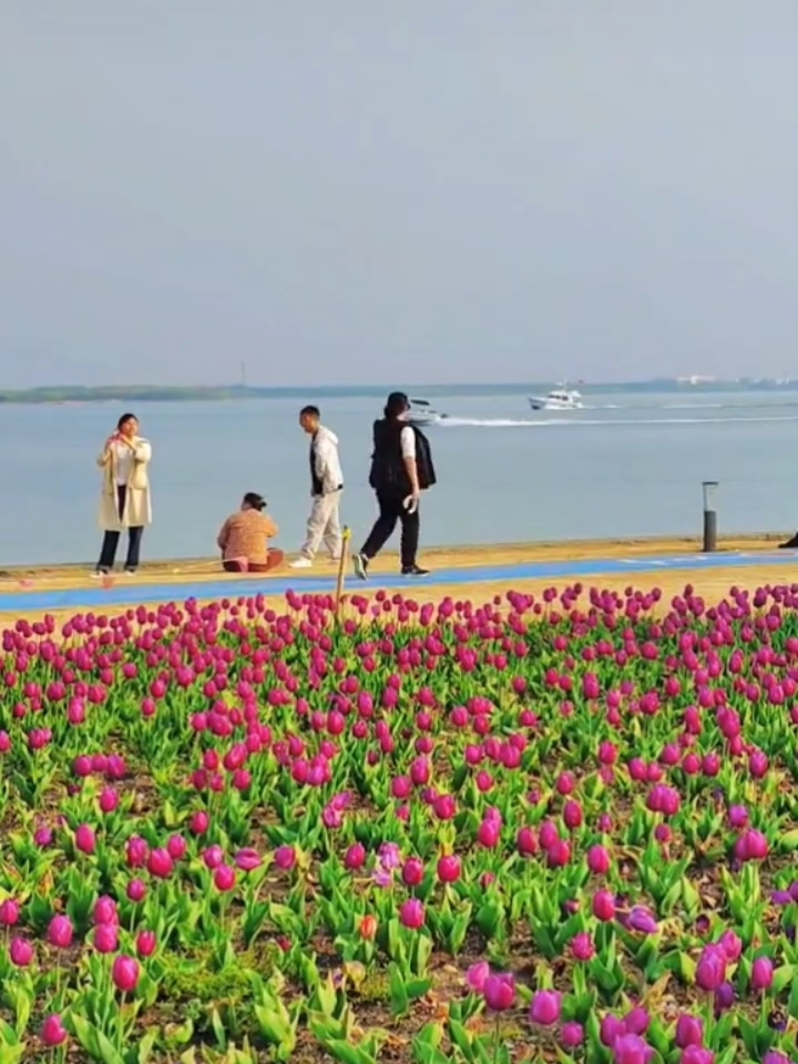 淀山湖昆山太美了