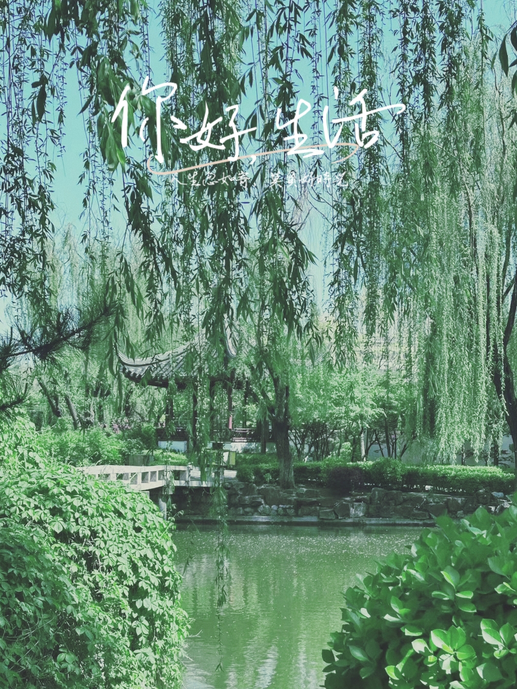 在天津也能置身于苏州园林内。