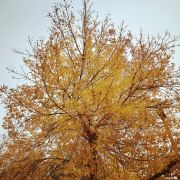 晴朗的晴朗 的晴朗