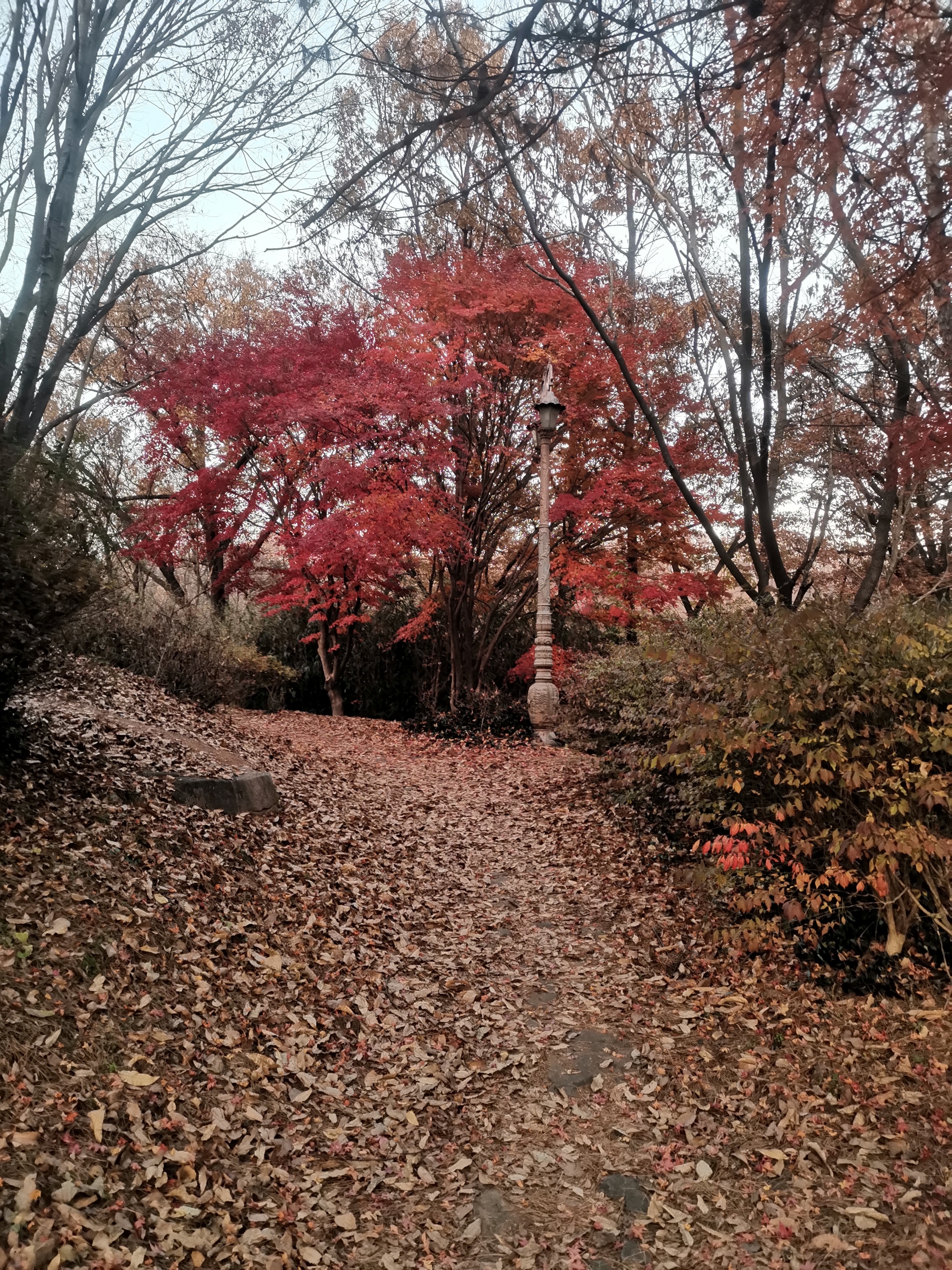 韩国的秋冬季