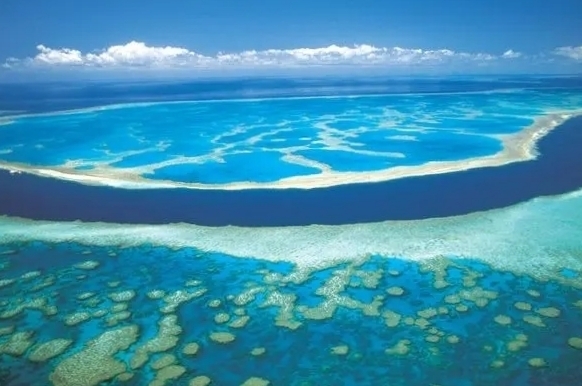 我的梦幻之旅：探索大堡礁的奇幻世界！