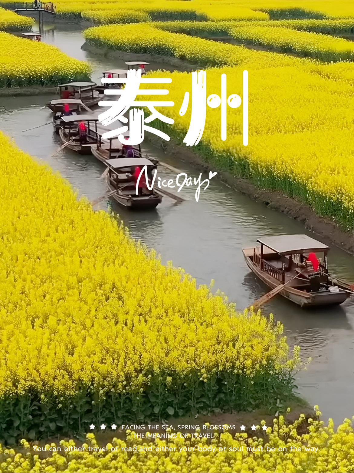 中国国家地理|🔥水上油菜花天花板来了🌼