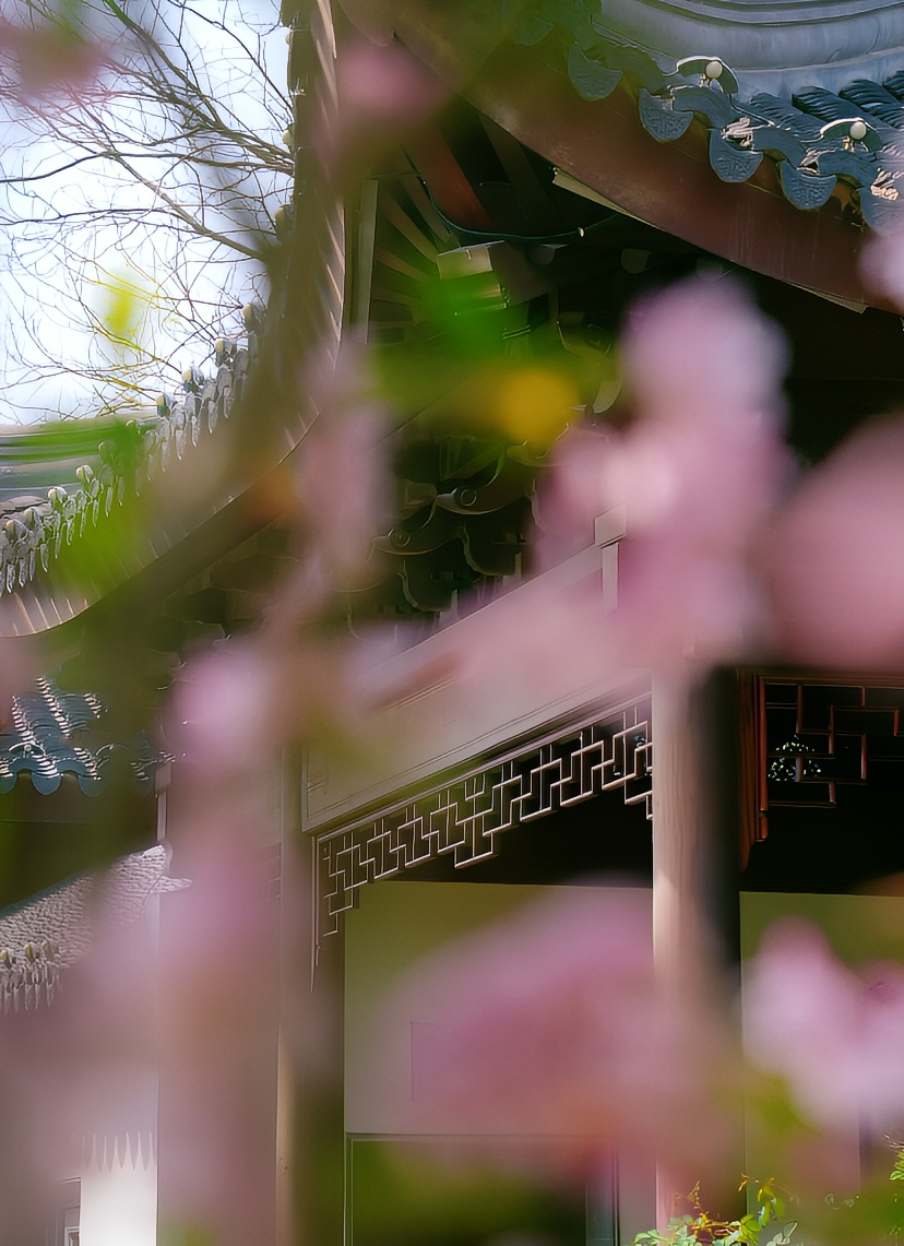 临清宛园：花树与古建筑的诗意融合，邂逅春日里的美好时光