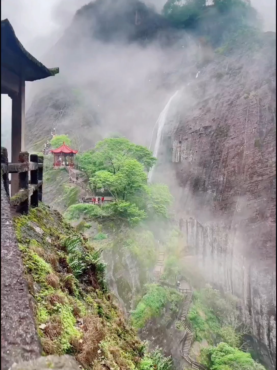 福建     武夷山