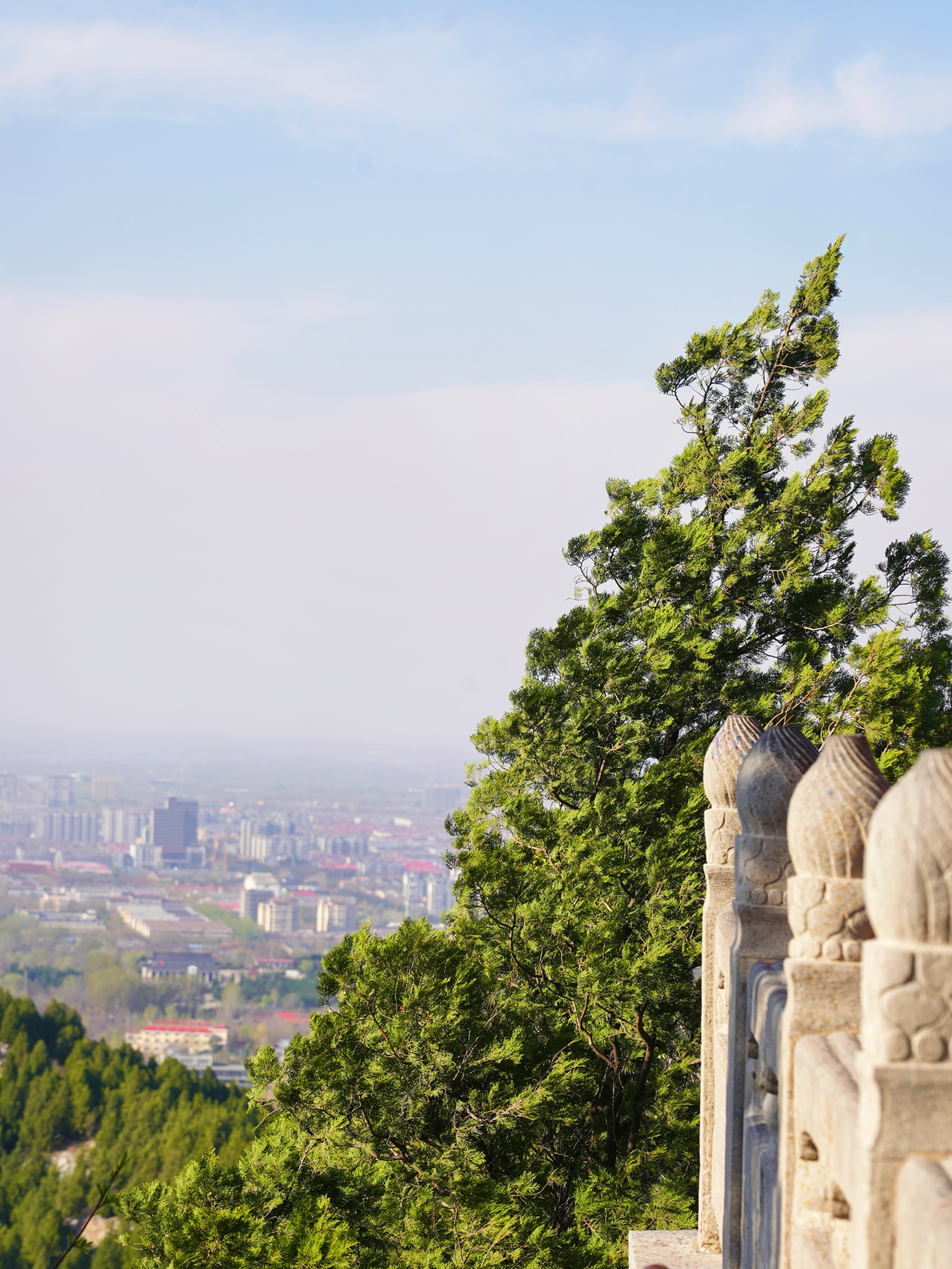 清真隆盛糕点(火车站店)餐厅图片