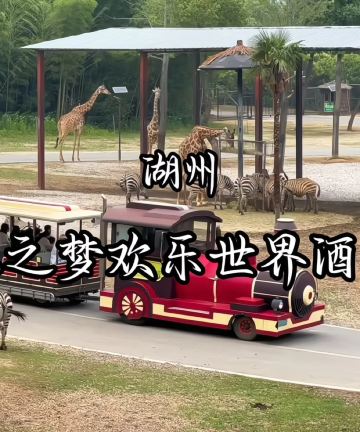 太湖龙之梦欢乐世界大酒店图片