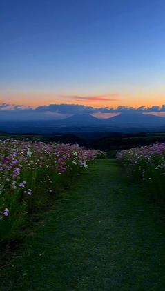 熊本自然之旅