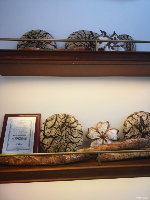 Gallery 3