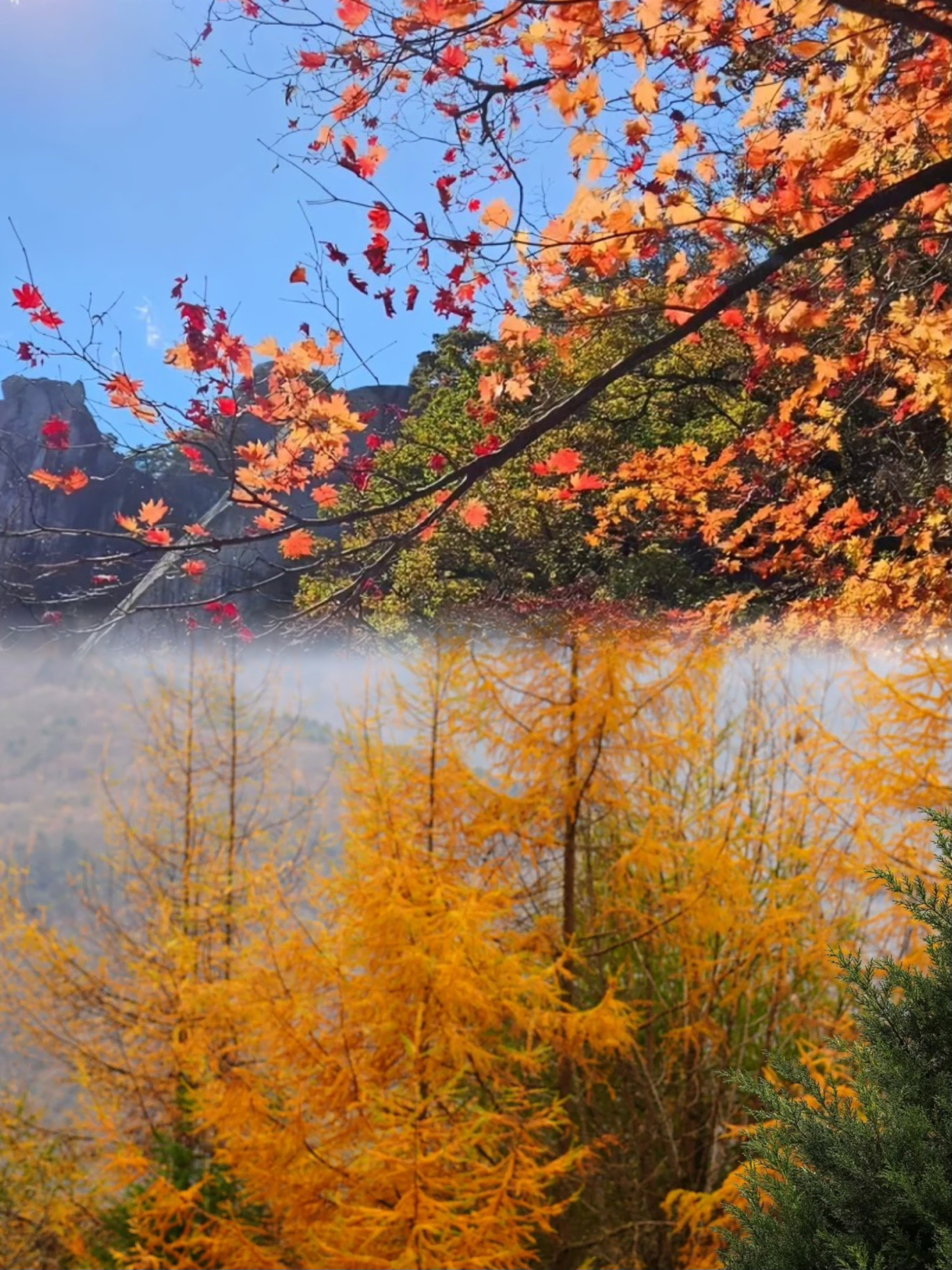 松林湾｜彩林秘境秋天的颜色🍁🍂
