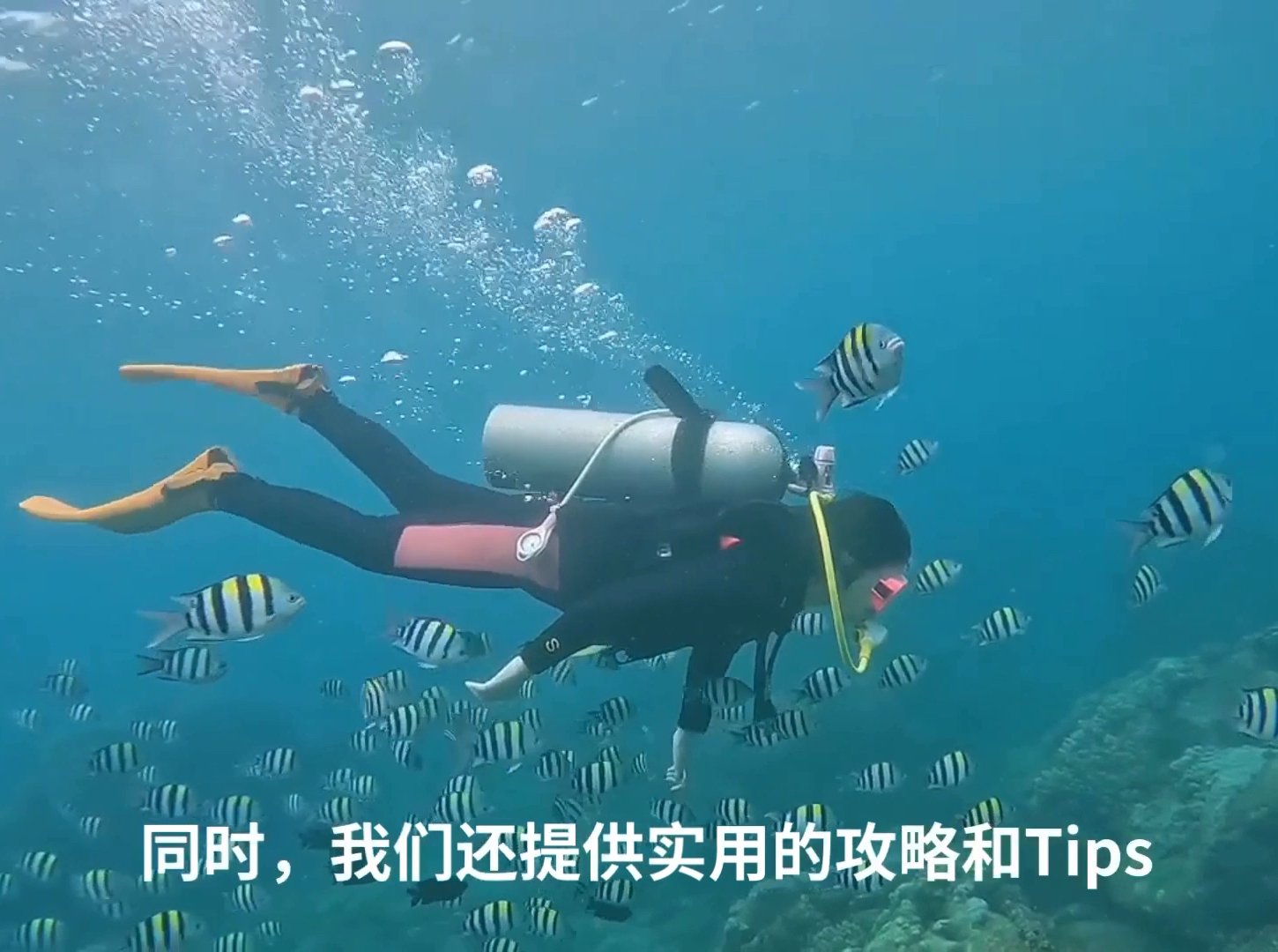 台湾屏东潜水会馆：潜水爱好者的首选天堂