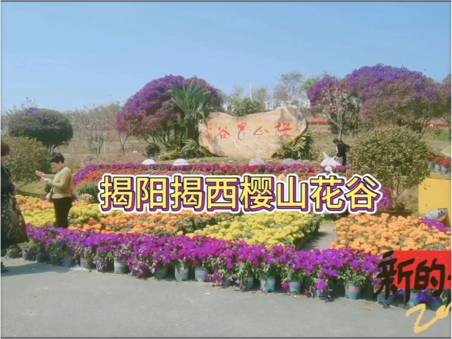 揭阳揭西樱山花谷，我喜欢花，我来看花