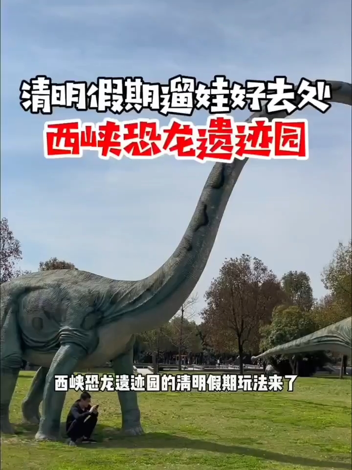 西峡恐龙遗迹园位于河南省南阳市，是一个5A级景区，被誉为世界第九大奇迹1。该景区分为三大主题区域:恐