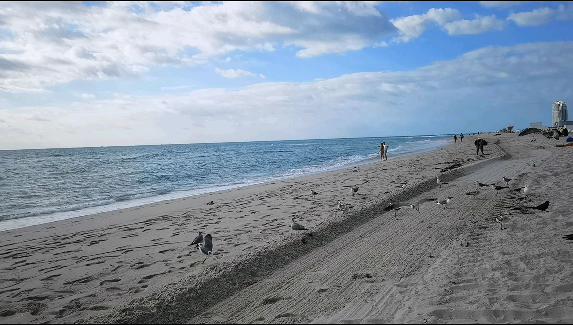 迈阿密南沙滩