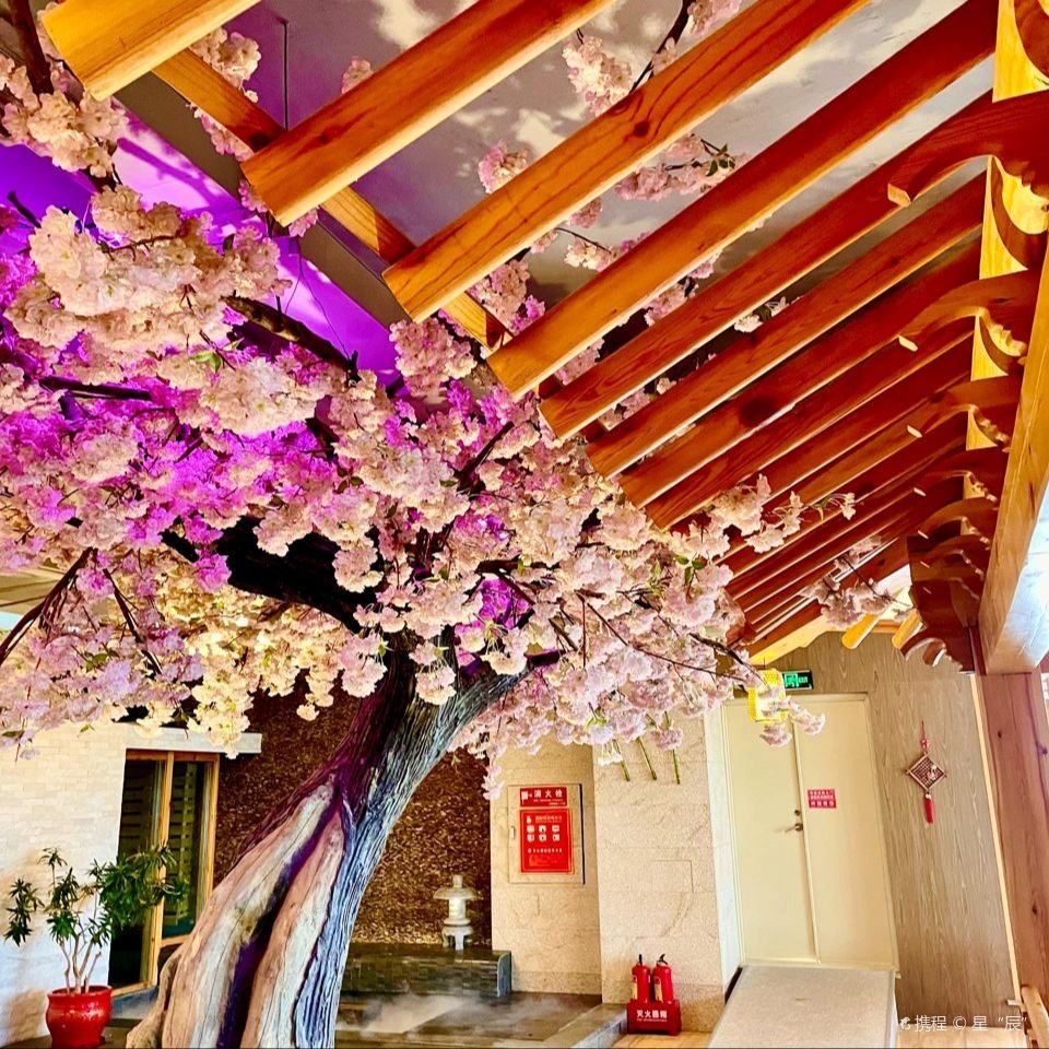 水善汇(长风东街店)