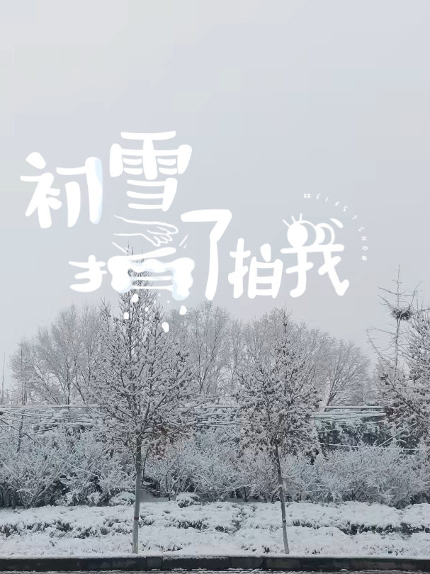 2024年的第一场雪