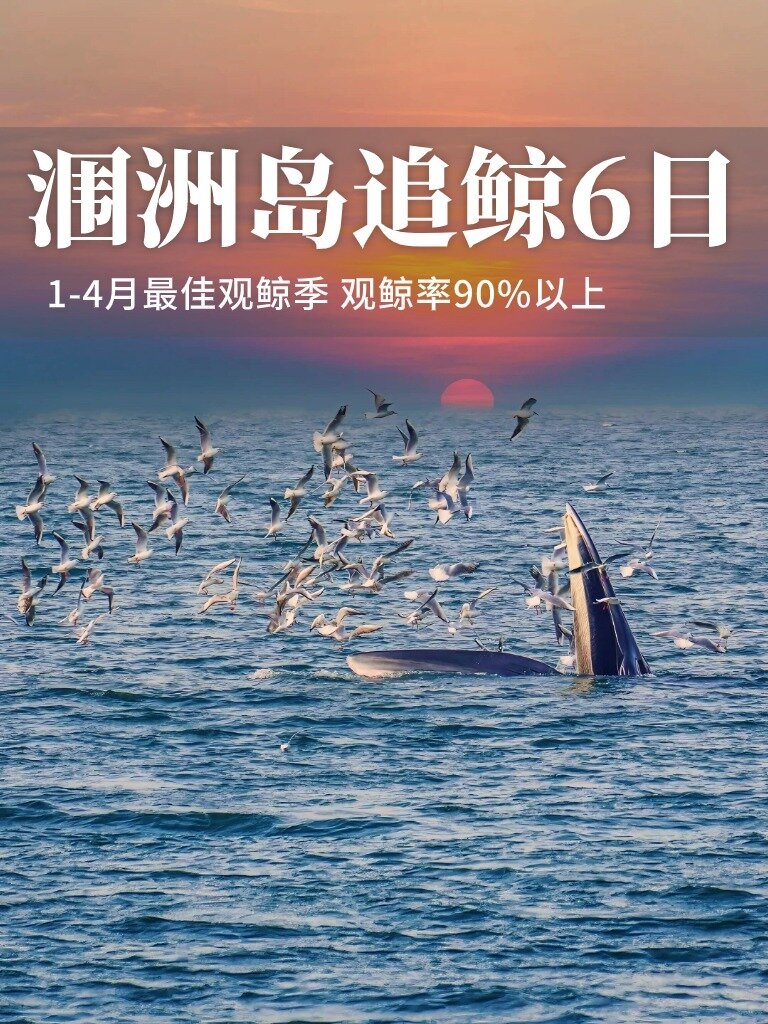 1—4月涠洲岛观鲸季