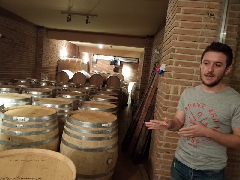 探访葡萄酒窖和橄榄油工厂，希腊特产工业游