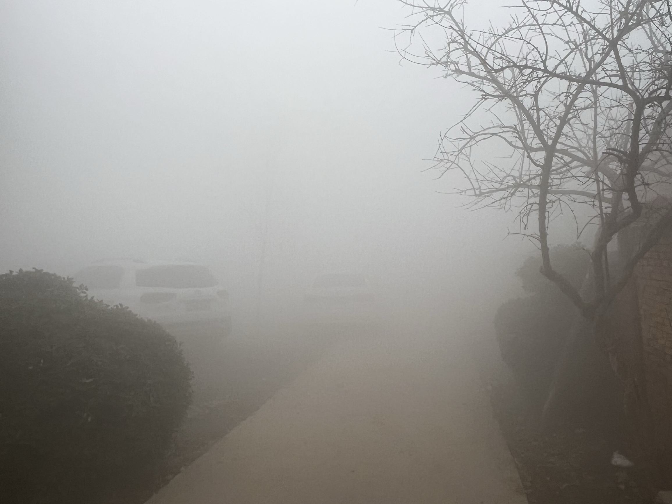 雾太大了