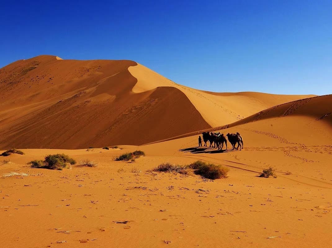 内蒙古阿拉善巴丹吉林沙漠旅游攻略：中国最美
