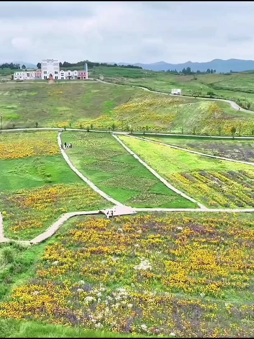 4-5月的草海 可以赏花可以露营可以烧烤