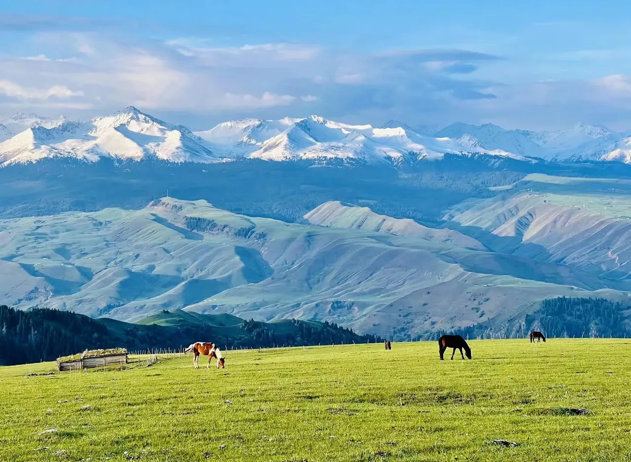 🌾新疆喀拉峻，草原与雪山的绝美之恋💓