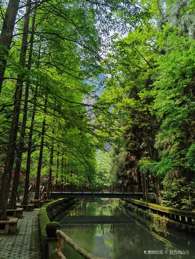 重庆璧山区|金剑山森林公园|适合带上家小活动的公园