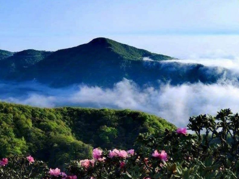 龙头引颈向南，静静地卧于江面，好像在注视着江水，周围的深山峡谷也阻挡不住它的沉思默想，它也许在向往着