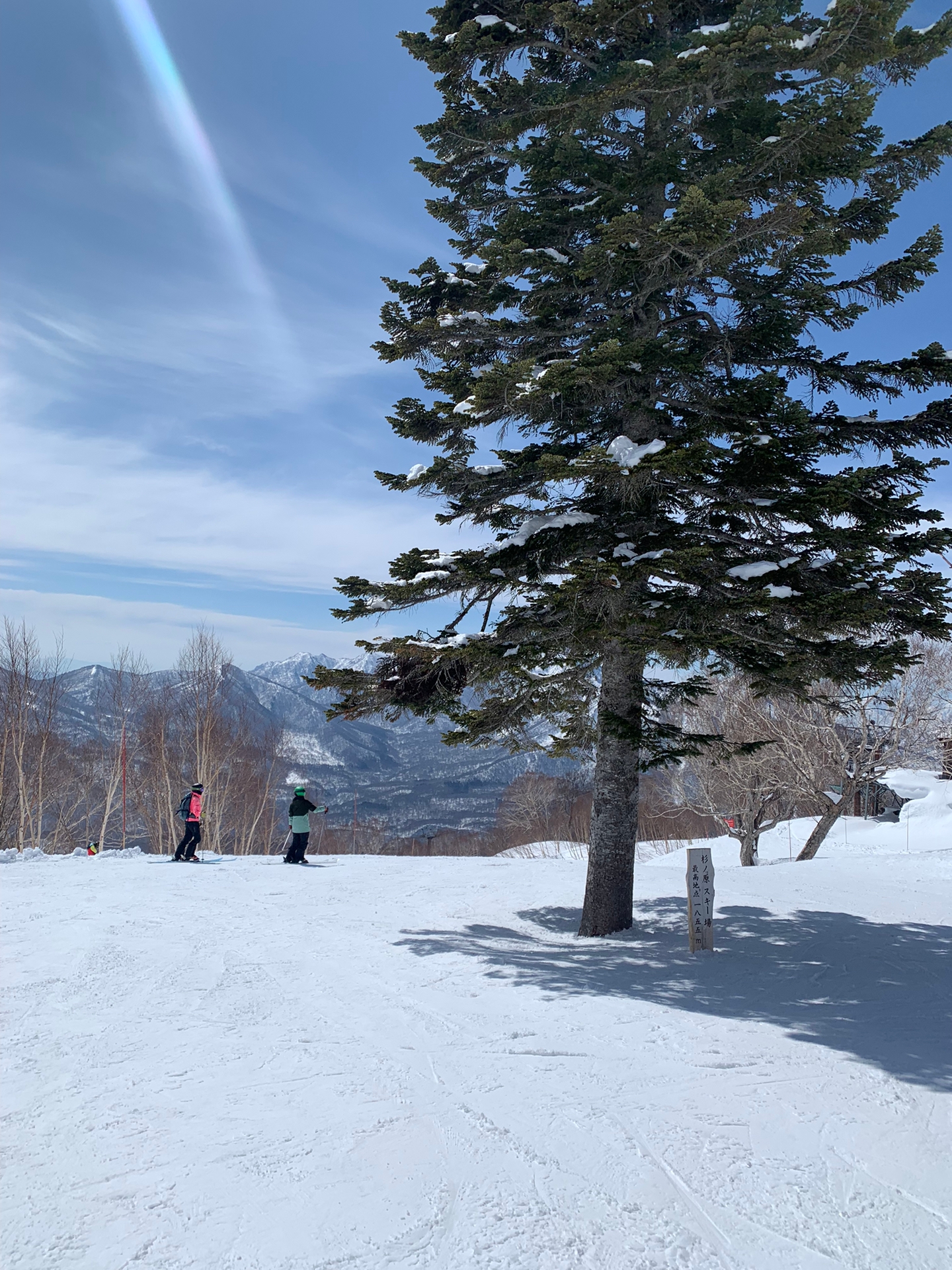 雪道私人定制体验：妙高杉滑雪场的惊喜之旅！⛷❄
