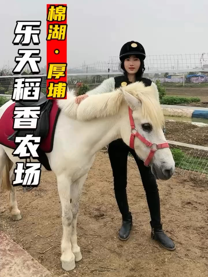 体验骑马的乐趣