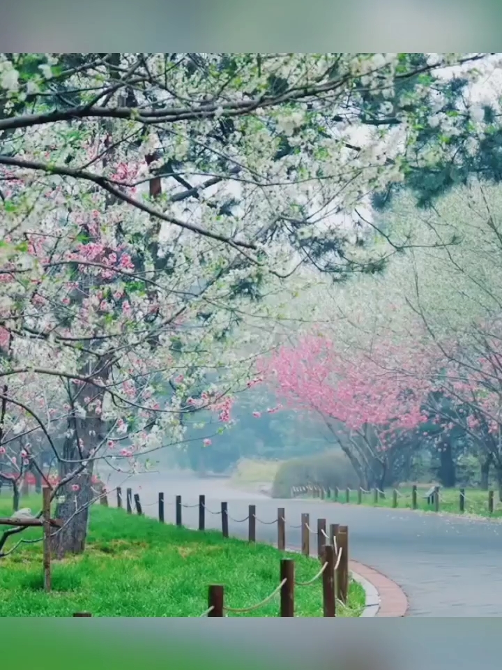 国家植物园，欣赏春天大自然的景色