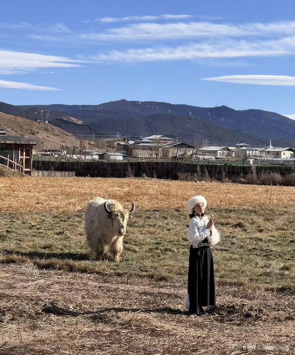 牧卡｜拾光·隐世度假庄园(香格里拉纳帕海店)图片
